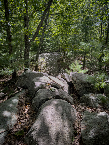 If you want rocks, Beverly Commons has 'em.