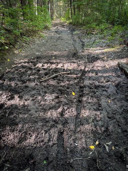 This trail can be a muddy mess at times.