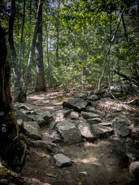 Rocks love to hang out at the top of short steel climbs