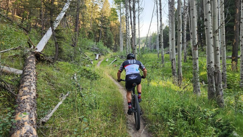 Ascending Jonhs Gulch Trail by mountain bike.