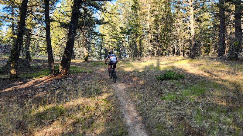 A rider ascending Grading Camp Trail from the south.