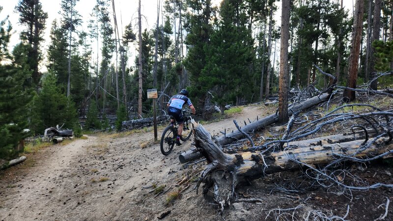 A mountain bike rider turning off onto Grading Camp Trail.