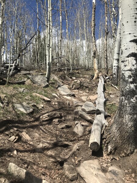 Upper rock section on Lower Calico.