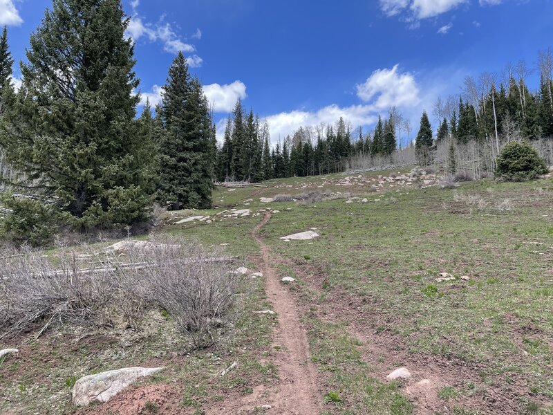 Upper Youngs Canyon.