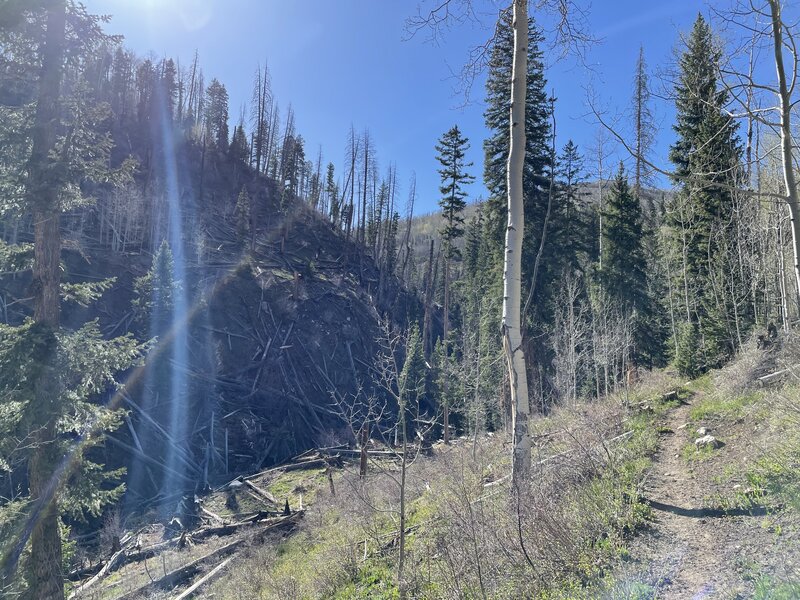 Middle Youngs Canyon.