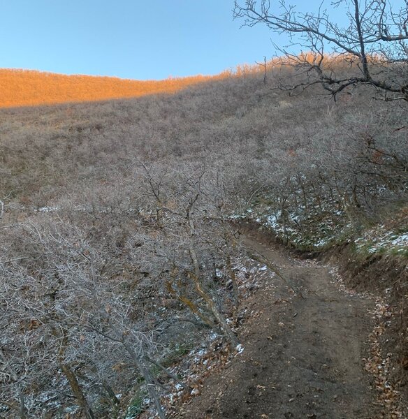 Mayor's Trail in the late winter.