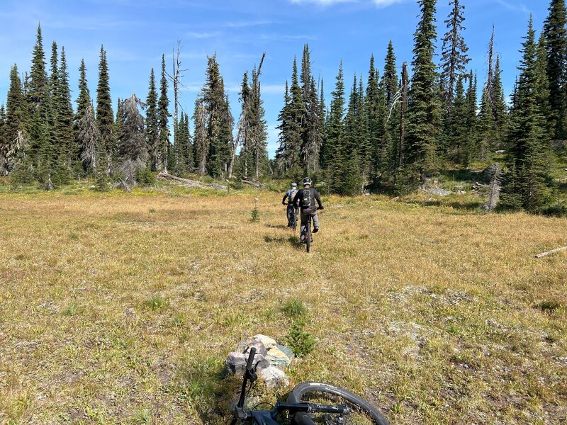 Another little mountain meadow. Follow the cairns.