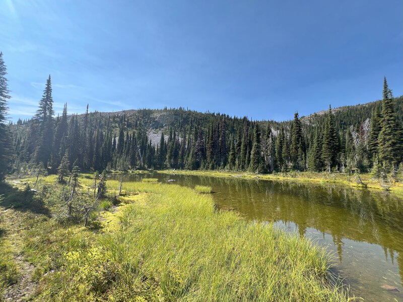 More meadows, springs, and lakes.