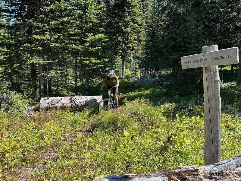 When you get to the Swede trail junction, stay on the Whitefish Divide Trail #26...unless you have to bail for some reason. This is your last chance.