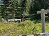 When you get to the Swede trail junction, stay on the Whitefish Divide Trail #26...unless you have to bail for some reason. This is your last chance.