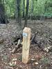 Upper Deck Loop trail sign