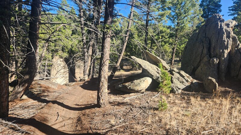 Paul Place Perimeter Trail winds between some cool granite boulders.