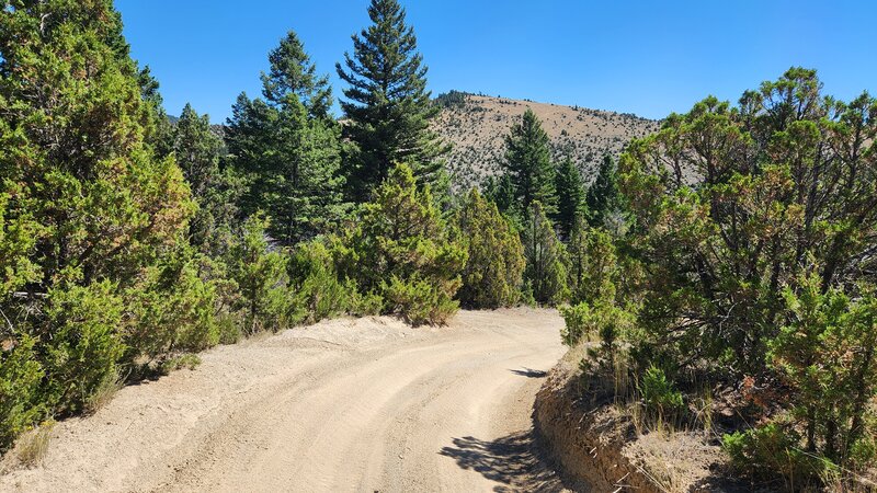 Typical banked sandy corners of BLM #14 Trail are sculpted by ATV's.