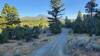 Scenic views near the Dry Creek Drainage on the the BLM #6 Trail