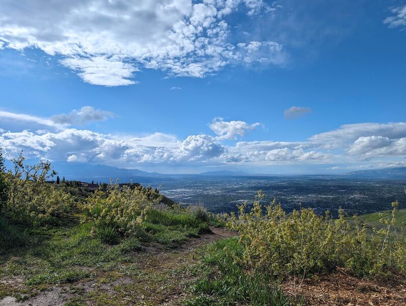 View from top of Oak Vista