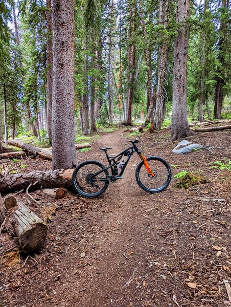 Loamy singletrack