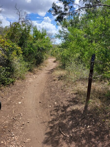 Near the start of Fern's Loop.