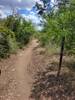 Near the start of Fern's Loop.