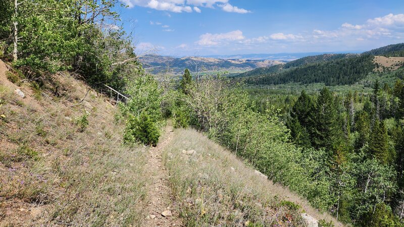 Garrity Mountain Alternative Trail traverses a steep slope with views of the Anaconda Valley in the background.