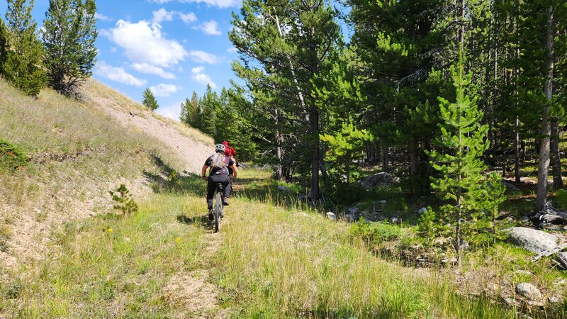 Two mountain bikers descend the Garrity Mountain Trail.