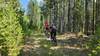 Two mountain bikers ride through the Garrity Mountain Wildlife Management Area.