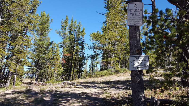 The top of the American Creek Connector: where is the trail?