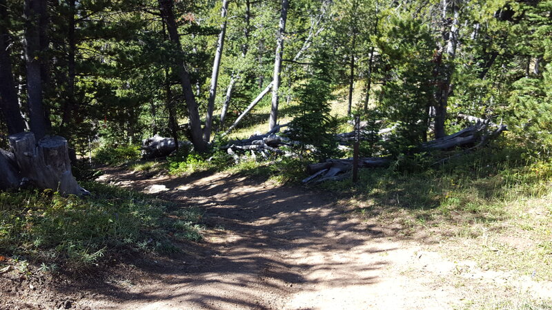 Typical trail conditions on the continental divide.