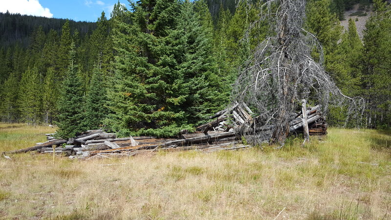 Ruins of an old log cabin on the side of the trail.