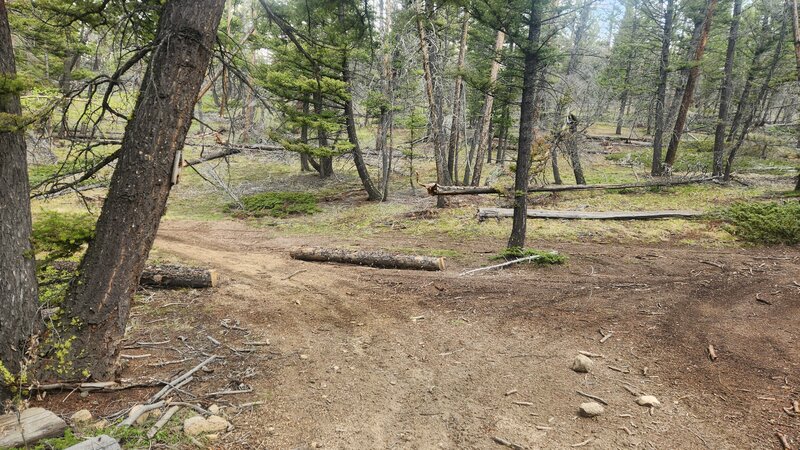 A typical trail junction along the Continental Divide.