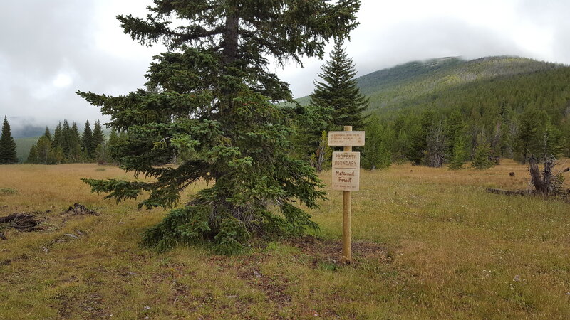 The end of the access trail and the forest boundary is set in a pretty meadow with forested hills in the background.