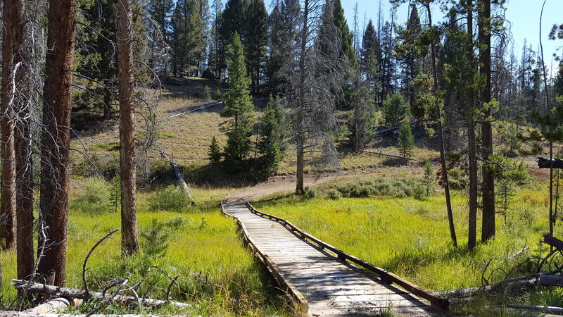 Section of boardwalk on the Norton Gulch Trail.