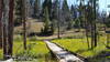 Section of boardwalk on the Norton Gulch Trail.