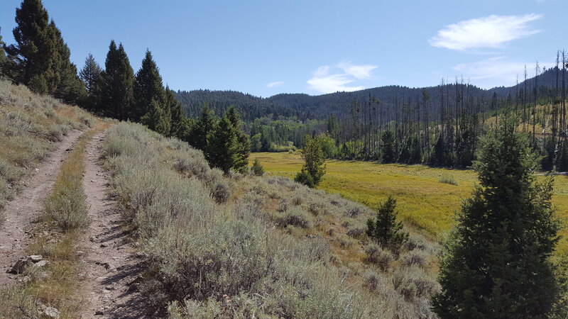 Norton Gulch Trail passes by some lovely grassland / marshland.