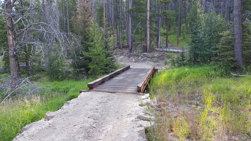 There are a couple of nice bridges on the Ditch Saddle Trail.