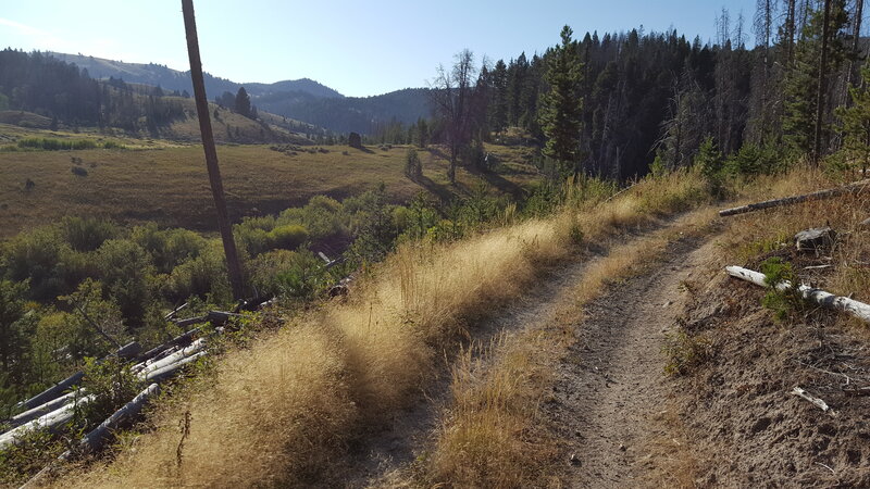 Looking out across the Norton Gulch Valley from Ditch Saddle Trail.