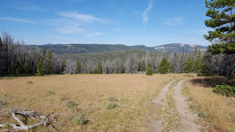 View from the side of Burnt Mountain looking over the Continental Divide.