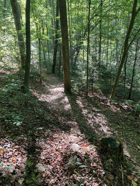 TN Trot trail