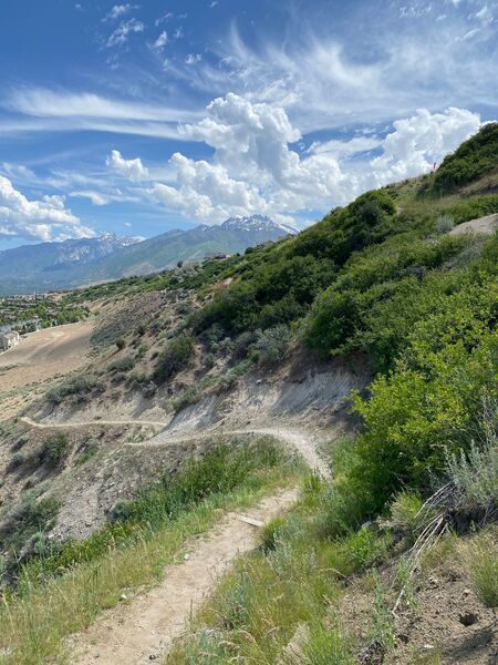 Flight Park Trail