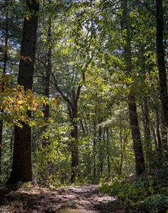 Good connector to get to Bald Hill trails.