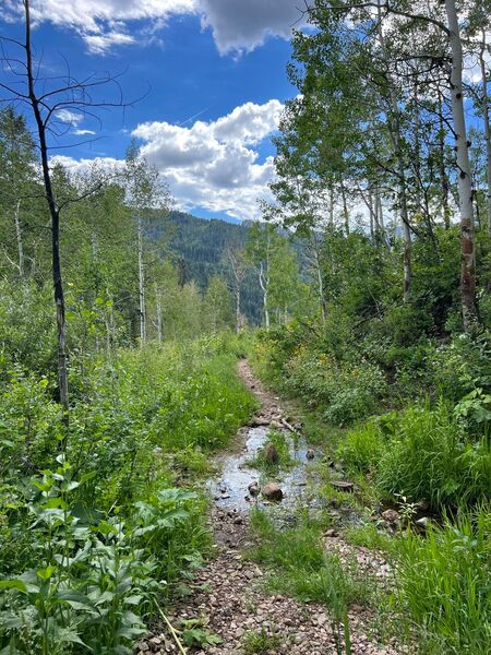 Creek crossing