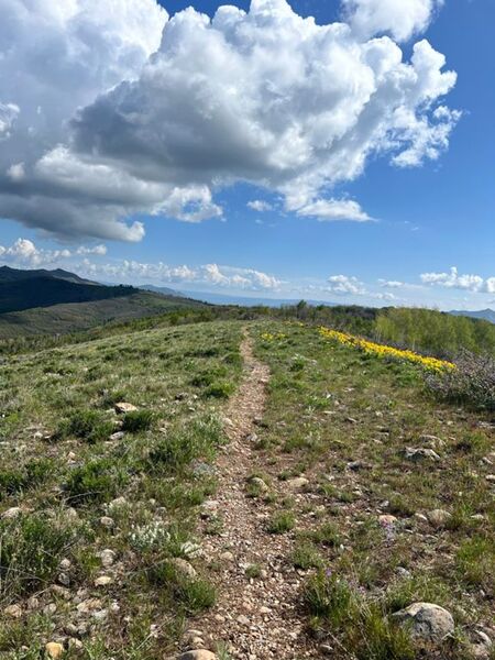 Summit ridgeline singletrack