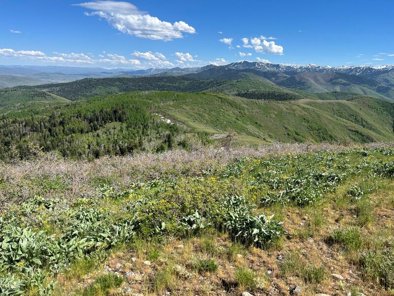 Summit ridgeline