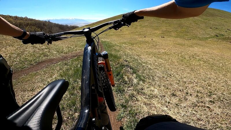 Meadow gap POV