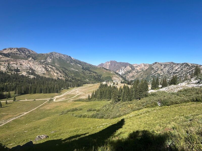 Albion Basin!