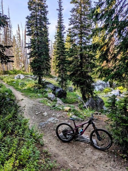 The Devil's Castle Loop at the Madelbrot turnoff.