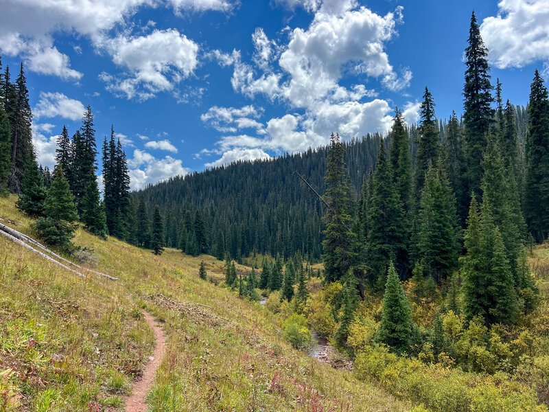 Deer Creek Trail