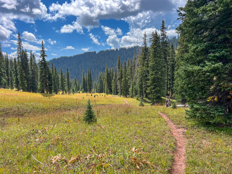 Deer Creek Trail.