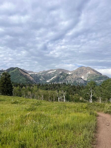 Timpanogos views and ridge 157 Trail.