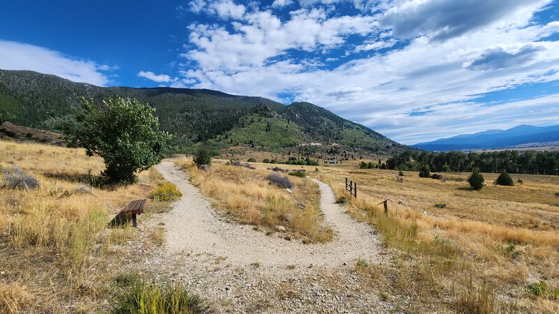 One of several switchbacks that make up the Maud-S Access Trail. The East Ridge of the Continental Divide is shown in the background.