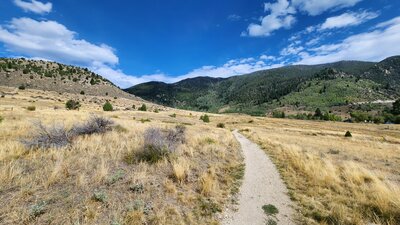 Looking uphill from the Maud-S Access Trail. The hill to the left is where the left side of the Maud-S Loop Trail goes. The mountain to the right it the East Ridge of the Continental Divide and is where the Upper Maud-S Trail leads.